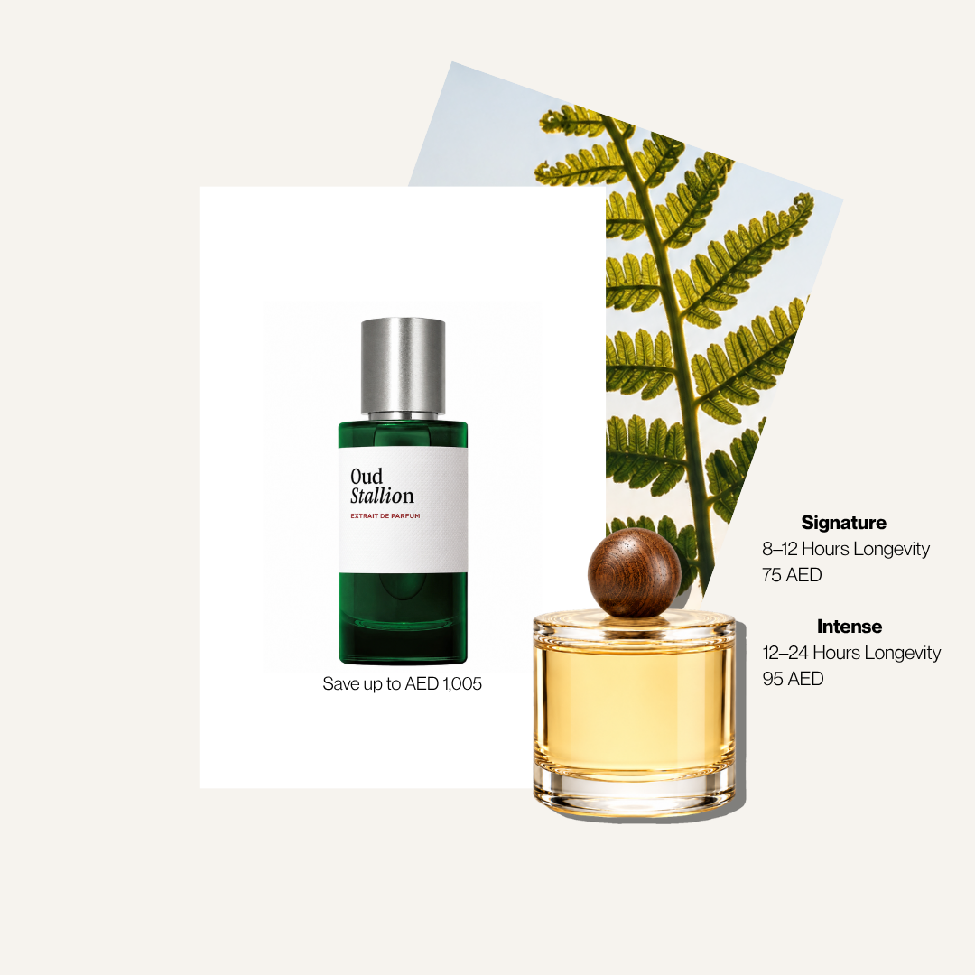 Scent Profile Of | Oud Stallion
