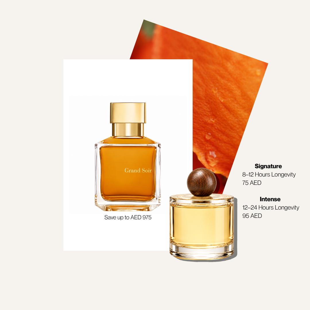 Scent Profile Of | Grand Soir