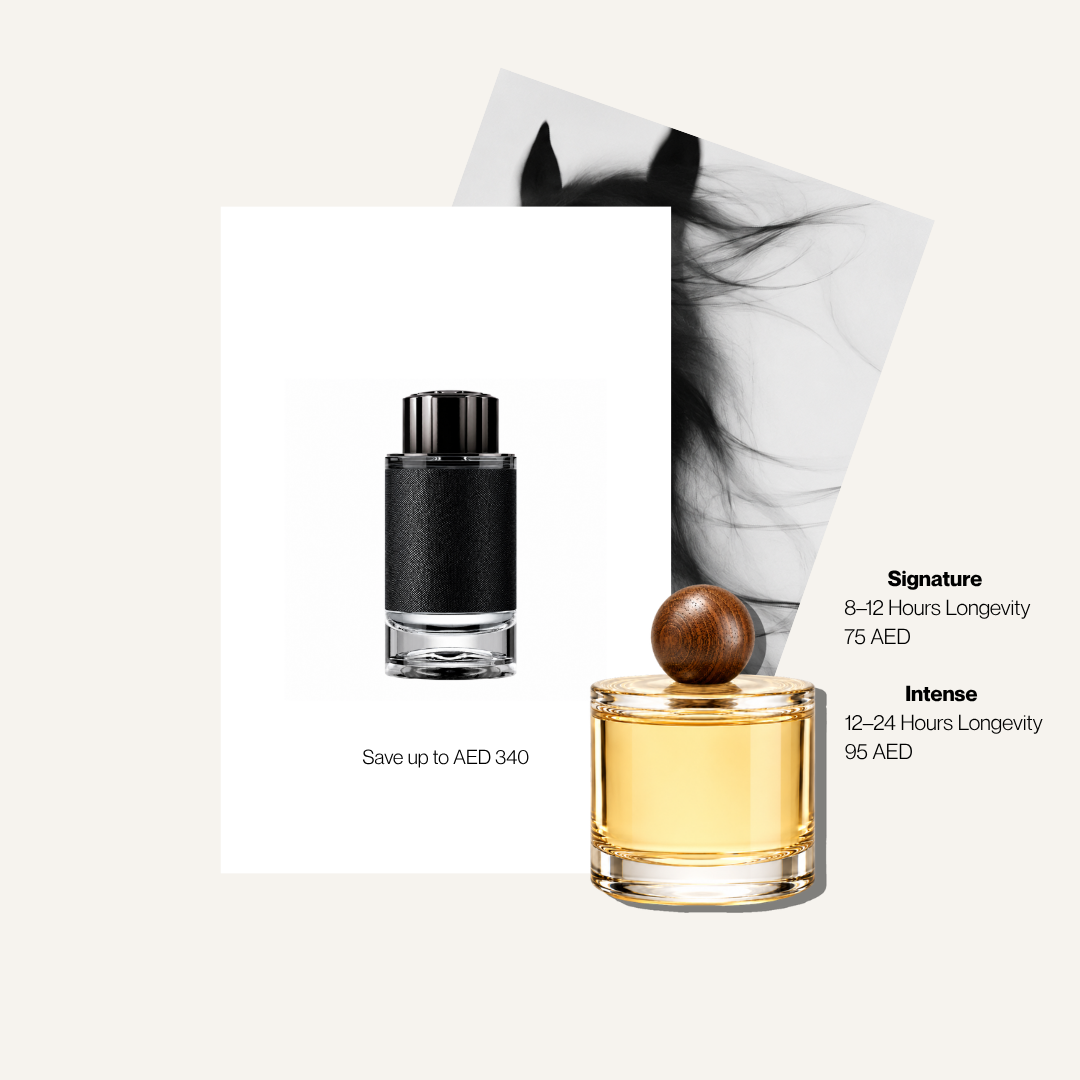 Scent Profile Of | Explorer