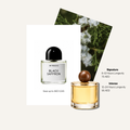 Scent Profile Of | Black Saffron